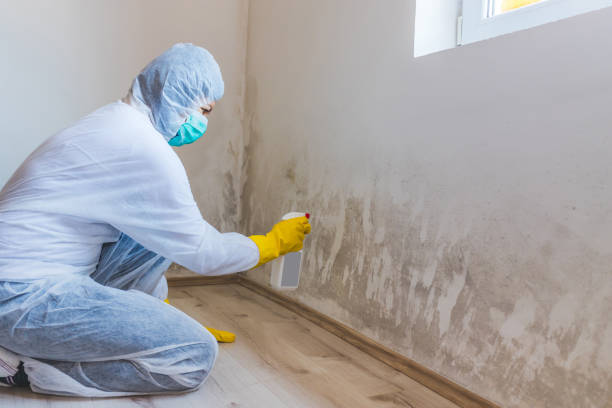 Mold Remediation specialist working in Hugo